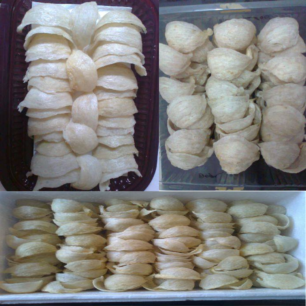 Sarang Walet: Emas Putih Langka yang Jadi Primadona Dunia